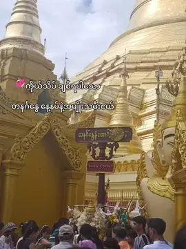 @Cho Cho Lwin 💓#crdစာသား #fyp #fyppppppppppppppppppppppp 