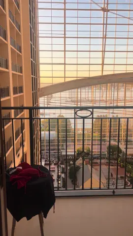 Gaylord hotel is so beautiful 