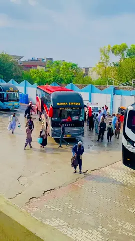 #MadinaExpress#Foryou #viralvideo #foryoupage #❤️🌼 