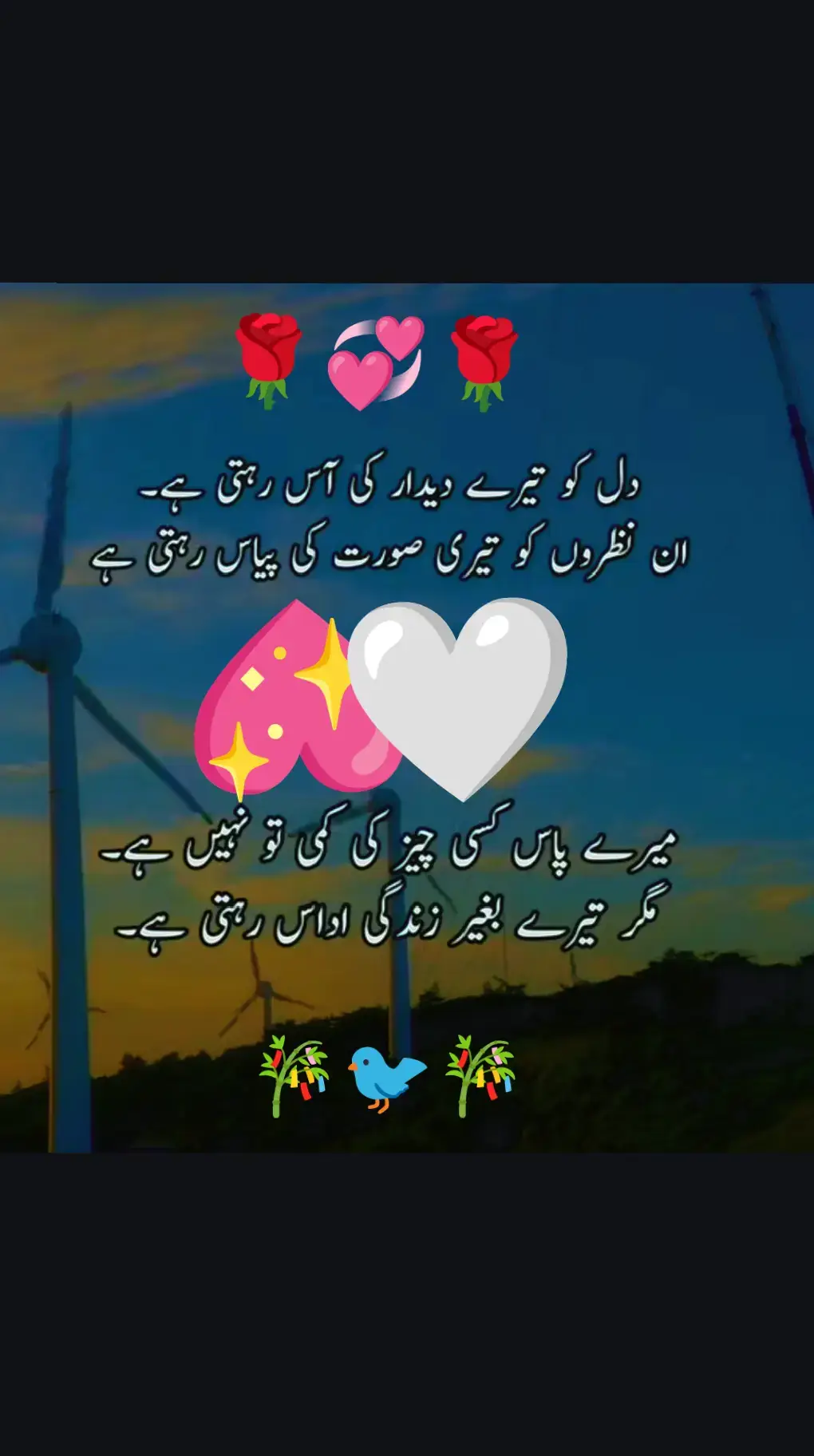 🐦🐦🐦💖💖💖💖🤍💖💖💖💖🐦🐦🐦