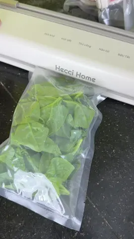 Máy hút chân không của hecci home đúng chuẩn