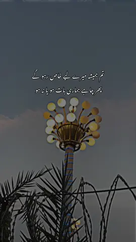 تم ہمیشہ میرے لیے خاص رہو گے پھر چاہے ہماری بات ہو یا نہ ہو ❤️‍🩹🙃