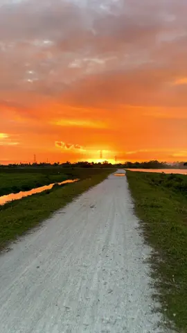 P. Ramlee & Saloma = Senja Nan Indah #sunset #sungaimuda #fypシ゚viral #tiktokmalaysia 