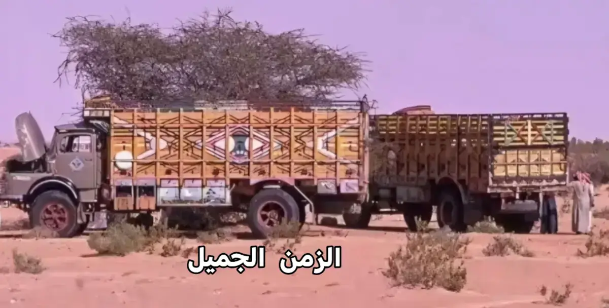 #الرياض 