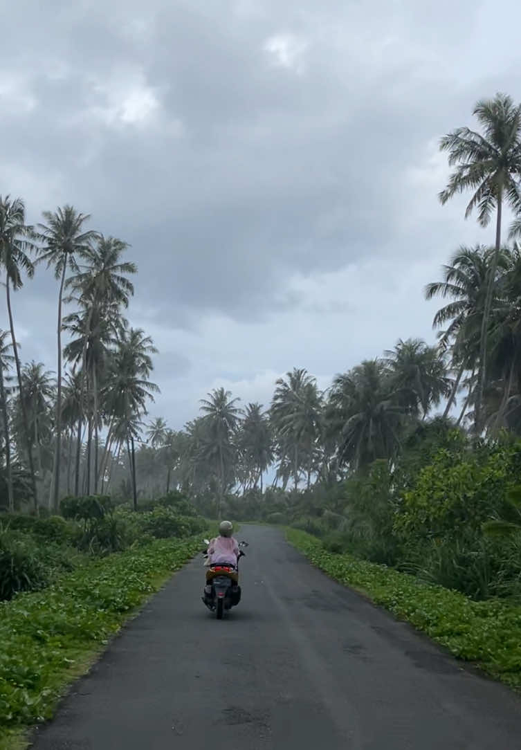 Jalanan Teupah Selatan candu banget🥹#aceh #simeulue #view #pesonaalamindonesia #alam 