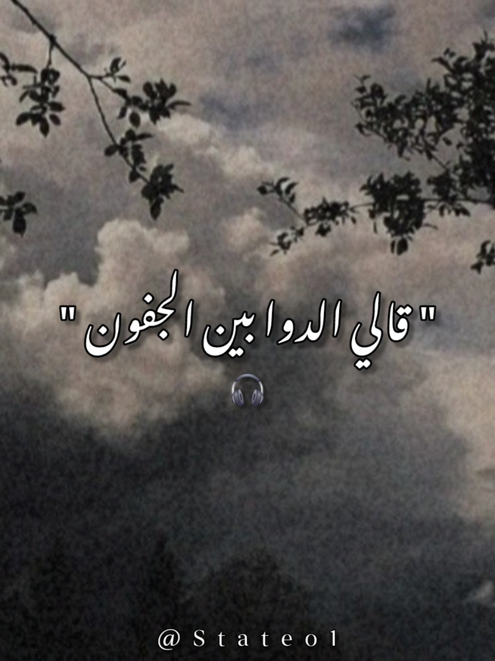طل الهوا بأحلي عيون  #تصميم_فيديوهات🎶🎤🎬 #الريتش_في_زمه_الله💔😣 #foryou #جورج_وسوف_🔚ابو_وديع_سلطان_الطرب👑 #fyp 