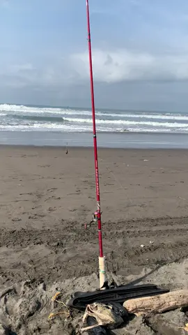 spot atlet lempar jauh🔥#promoseruweekend #parangtritisfishingclub #pasiranerbantul #mancingasik #foryoupage 