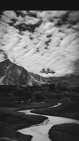 🤲🫶 الحمد لله دائما وأبدا🤲🫶