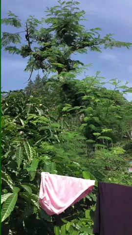 wilujeng siang sadayana di sponsori ku karep bp²😅 #kampungsunda #viral 