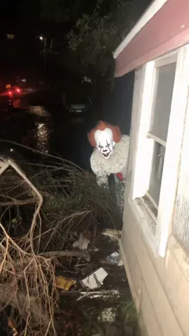 🎈 