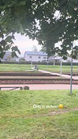 @Livaaa 😂🐐