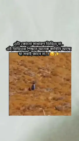 কে কে জানো এই ভিডিওর কাহিনি..?? #foryou #jk #jimin #rm 