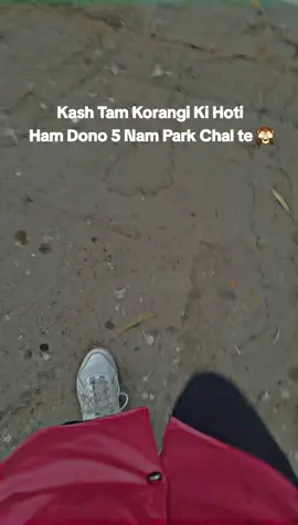 Kash Ap Korangi Ki Hoti 🙈✨️❤️ #unfrezzmyaccount #foryou #trending #unfrezzmyaccount #fyppppppppppppppppppppppp 