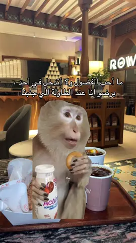 #Meme #MemeCut 