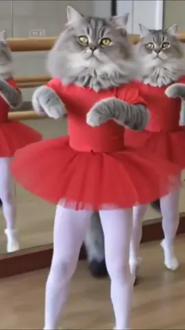 Самый трендовый танец#catlover #dance #ai #foruyou #fyp 