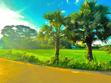 ইভেন তুমি একটা বরো ফুলও না জাকে দেখে কেও আক্রিস্থ হবে 😅❤️‍🩹 #furyou #furyoupage #vairal #fyp #vairal_video 