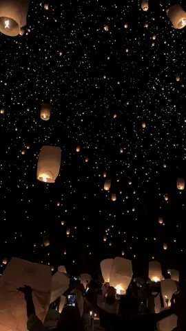 Rise Festival #risefestival #lanternfestival 