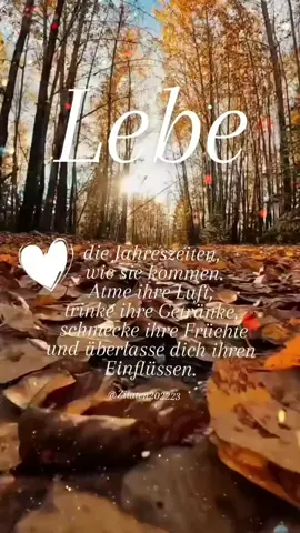 #tiktok #viral #teilen #fyp #lebensweisheit 