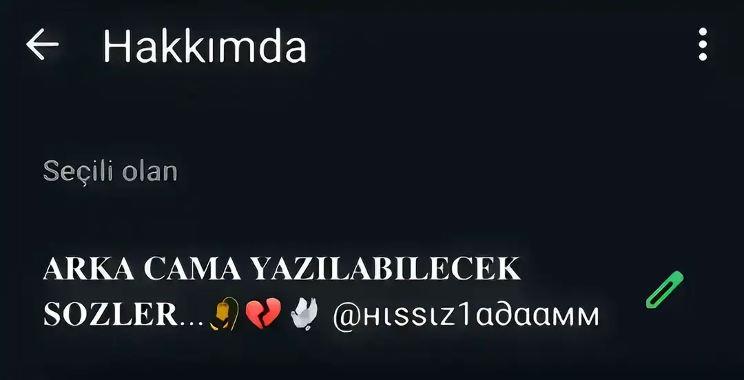 #hissiz1adaamm #fsfc1 #adana #arkacamyazıları #kamyonarkasıyazılar 