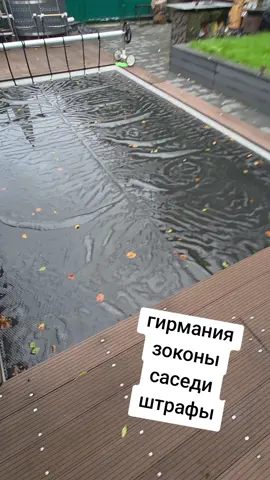 #германия 