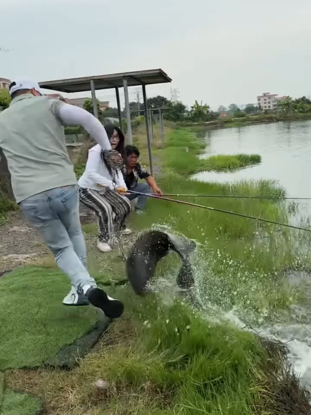 Flying a giant grouper with bare hands, shocking the fisherman next to him #fishing #wildoutdoor 