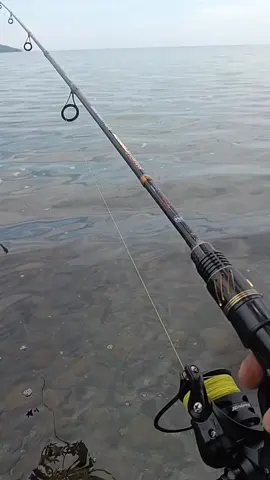 Uji Kesabaran 300x Lemparan  setidaknya dapat  Sport Fishingnya  #boncoslagi🥱 #boncos_mania #angler #pemancing #Sport fhising