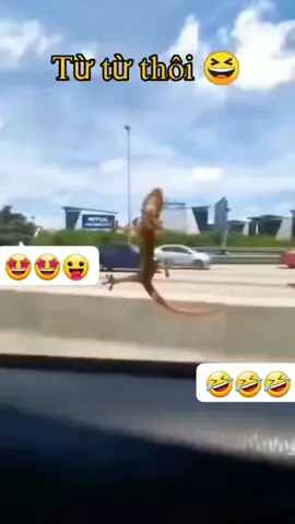 Từ từ thôi bây ơi 🤣🤣#👍👍🤣🤣💖💖💞💯💯 #xuhuongtiktok 