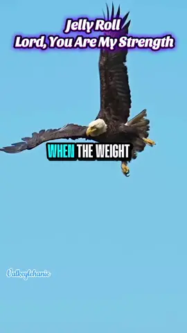 #CapCut #Jelly Roll #Lord You are my Strength 