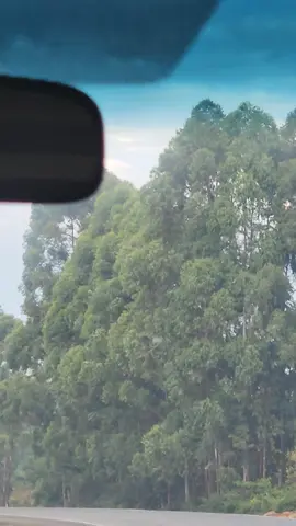 Untold beauty.  #adventuretime #traveltiktok #explore #travellife #TravelTok 