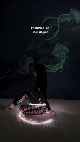 #ledfiberwhip #affordablewhip #whiplights 
