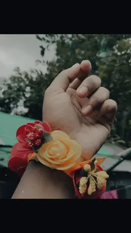 #🌻🌻🌻🏵️🏵️🏵️🏵️🌸🌸🌺🌺🌷🌷🌹🌹🌹💐💐💐🌻🌻🌻🏵️🏵️🌺🌺🌺🌺🌺 @JIHAD ISLAM ( suhan) @Alamin Even @❤𝑺𝒊𝒈𝒏𝒂𝒕𝒖𝒓𝒆❤ 