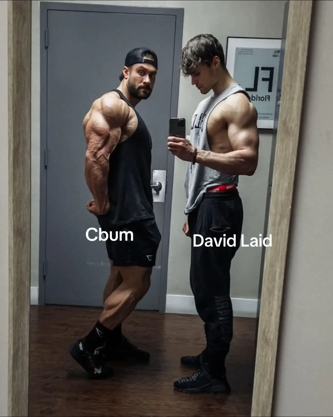 #GymTok #aesthetic #davidlaid #cbum #gymshark @Gymshark @Chris Bumstead 