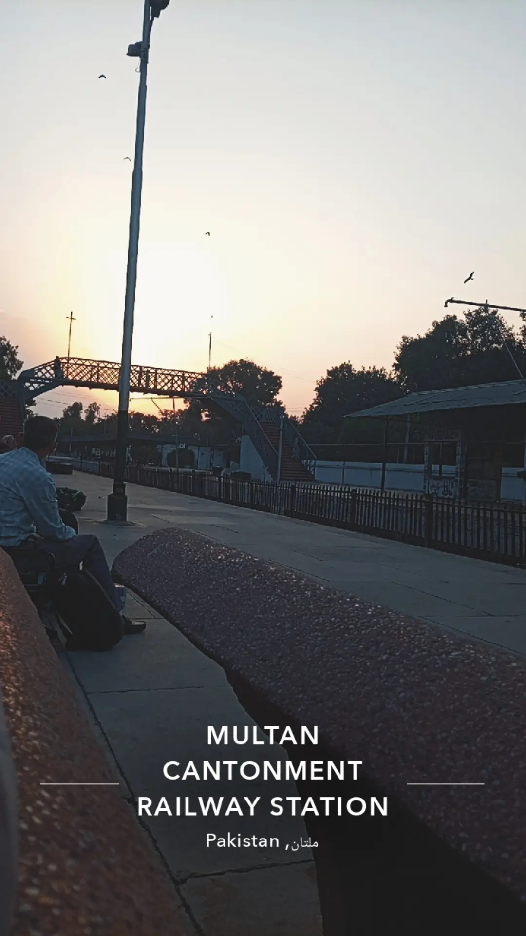 #viral #trending #foryou 