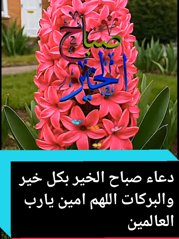 #دعاء#صباح الخير#بكل خير#والبركة# اللهم العالمين اللهم امين 