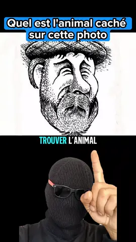 Quel est l'animal caché sur cette photo ? seulement 2 % des gens arrivent à trouver l'animal cachée sur cette image ! #psychology #psychologie #psycho 
