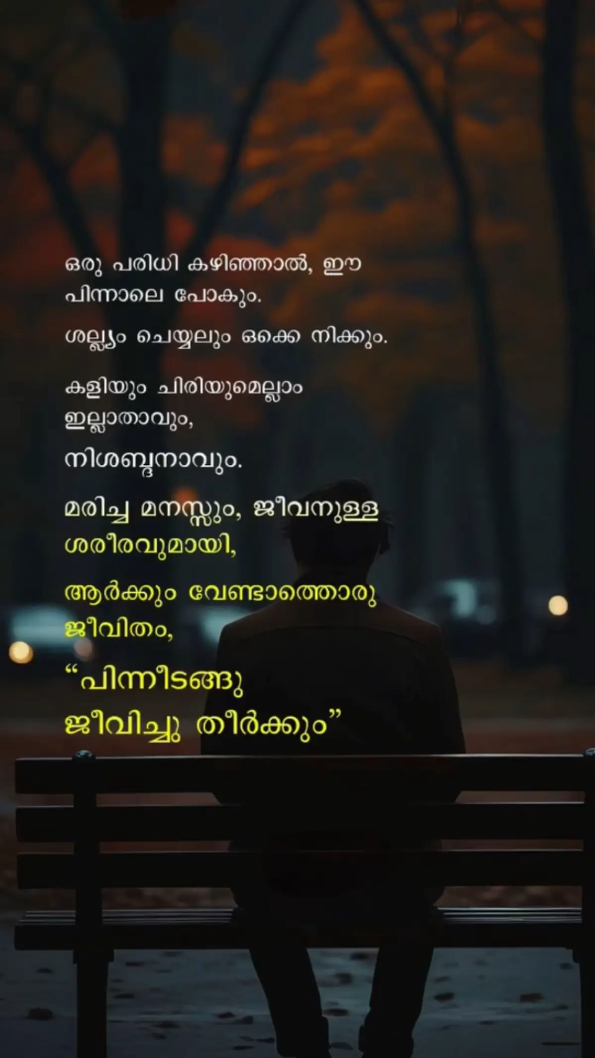 #foryou #foryoupage #sad #malayalam #njanparajithan 