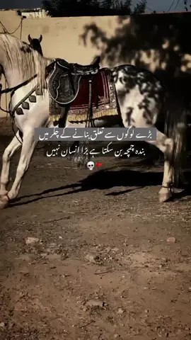 💀🚩#fyppppppppppppppppppppppp #fyp #foryoupageofficiall #fypシ #standwithkashmir 
