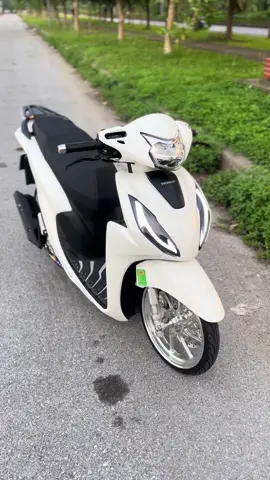 Màu trắng vẫn net#manhquynh #02369 #honda #visiondokieng 