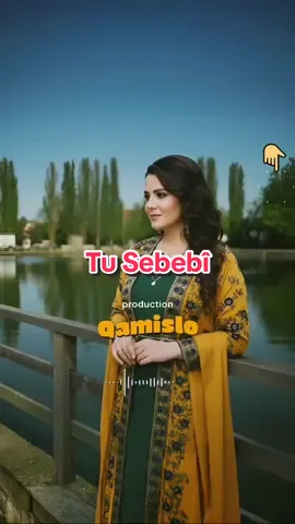 Tu Sebebî  #kurdischemusik  #kurdishsong 