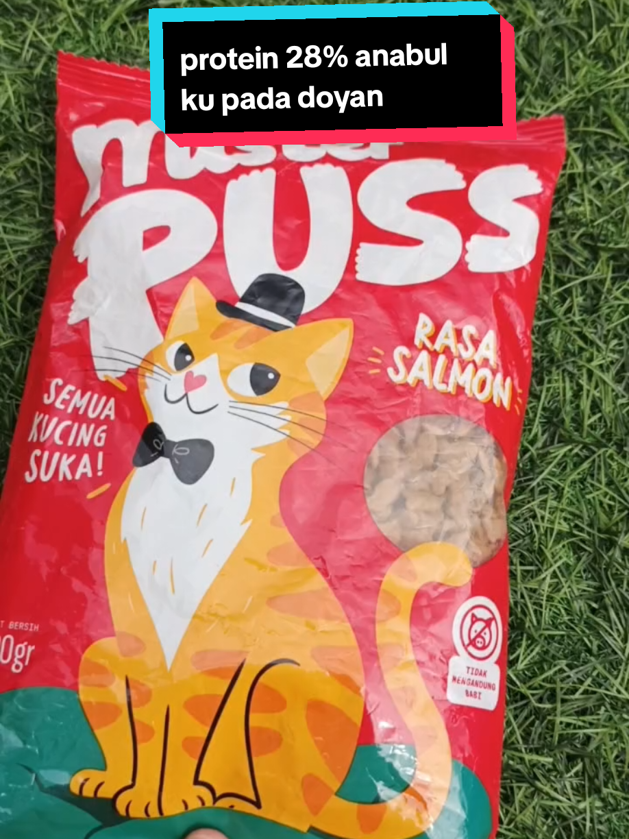 rasa salmon kibble bentuk ikan renyah #makanankucing #dryfood #misterpuss 