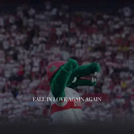 fall in love..🤍❤️ || #vfb #stuttgart #dfbpokal 