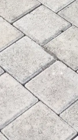 bet polibet🥴🤙🏻 #garamcina #ledold #gwk #varioledold