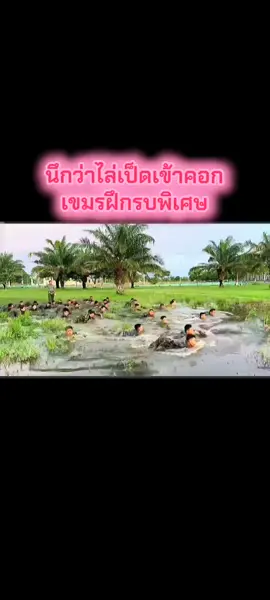 เขมรฝึกรบพิเศษ🤣🤣🤣#cambodia🇰🇭 #thailand🇹🇭 #หน่วยรบพิเศษ 