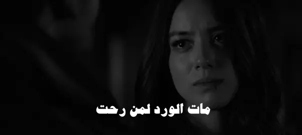 مات الورد لمن رحت #عراقي #fyp #fypシ゚viral #fypage 