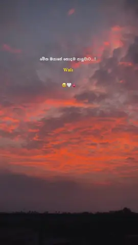 මගේ එකා...!🙂🫀🤍#srilankan_tik_tok🇱🇰 #viral #1millionaudition #foryoupage #10millionviews 
