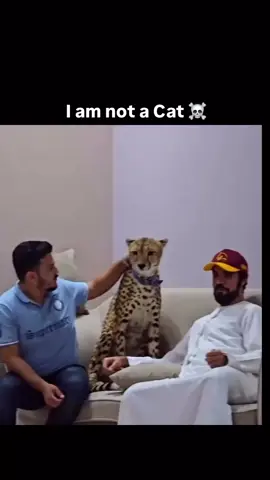 #creatorsearchinsights #romanreignstrinding #cartoonnetwork #newsongtrindingvideo #cartoonnetwork my TikTok account unfreeze my TikTok account unfreeze my TikTok account unfreeze my TikTok account unfreeze my TikTok account unfreeze my TikTok account unfreeze my TikTok account unfreeze my TikTok account unfreeze