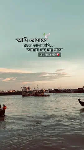 প্রেম মরবে না..❤️‍🩹 #foryoupage #trending #fypviralシ #unfrezzmyaccount #fyppppppppppppppppppppppp 