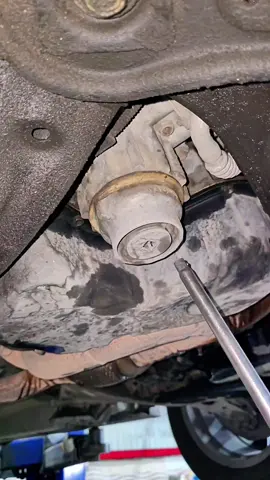 change engine oil and filter ? water 💧 #auto #mechanic 
