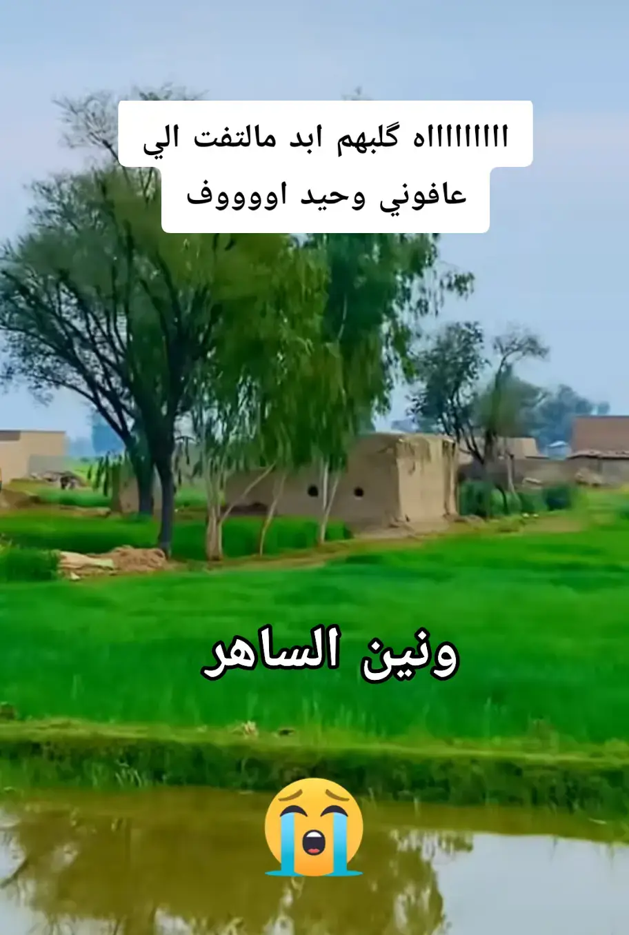 خلص گلبي يايمه ونين يموت بعد ماعندي گلب الي يحمل ااااااه يايمه#ونين_يقطع_نياط_القلب_بصوت_جنوبي_حزين  #الحزن💔عنواني💔ــہہہــــــــــہہـ👈⚰️  #موجوع_قلبــــــي💔😔💕🌹💕🌹  #مواويل_عراقية_حزينه💔  #لايك__explore___ 