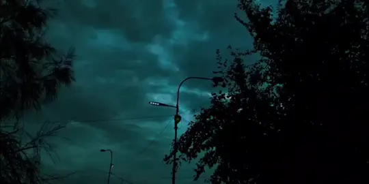 والله إنها فانية 🤍. #بلال_الجهماني #كلام_من_ذهب #اقتباسات #خواطر #عبارات 